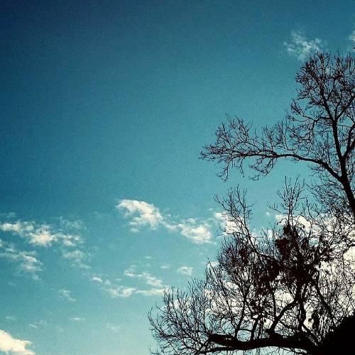  جلو پیشرو که بزرگترین مافیای قرنه دورش پر از حامیای رپه